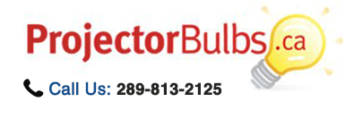 Visit our Homepage